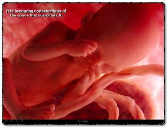 Острове моментов дамблдор Макsм картинки с беременостью кино выкладывайте трапезу